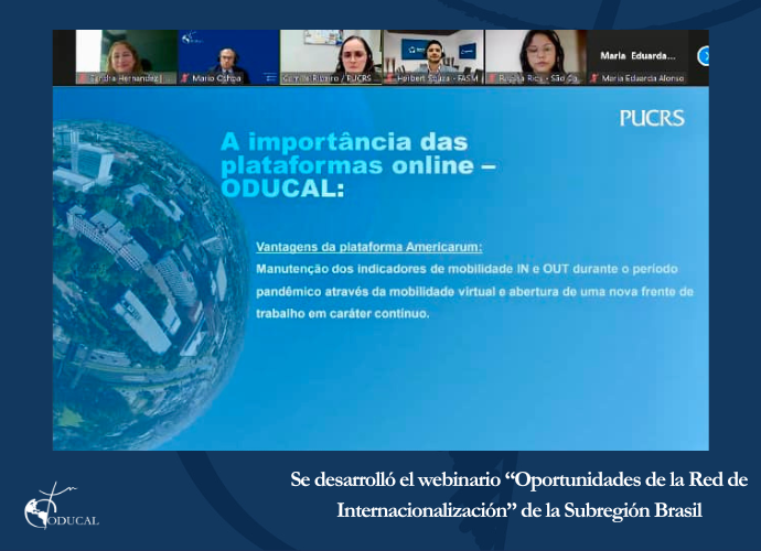 Webinario "Oportunidades de la Red de Internacionalización, subregión Brasil"